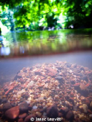 This shot was taken in a local stream. I used a Canon Pow... by Isaac Leavitt 